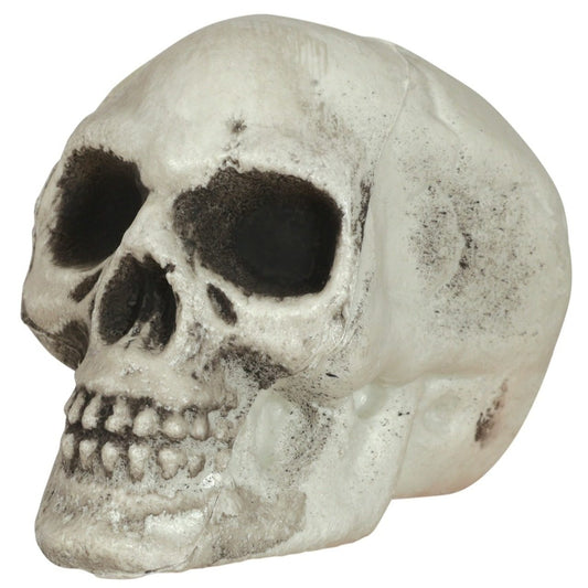 Bolsa de 6 Calaveras Siniestras