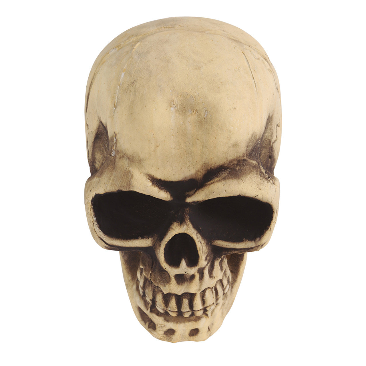 Calavera Grande Foam