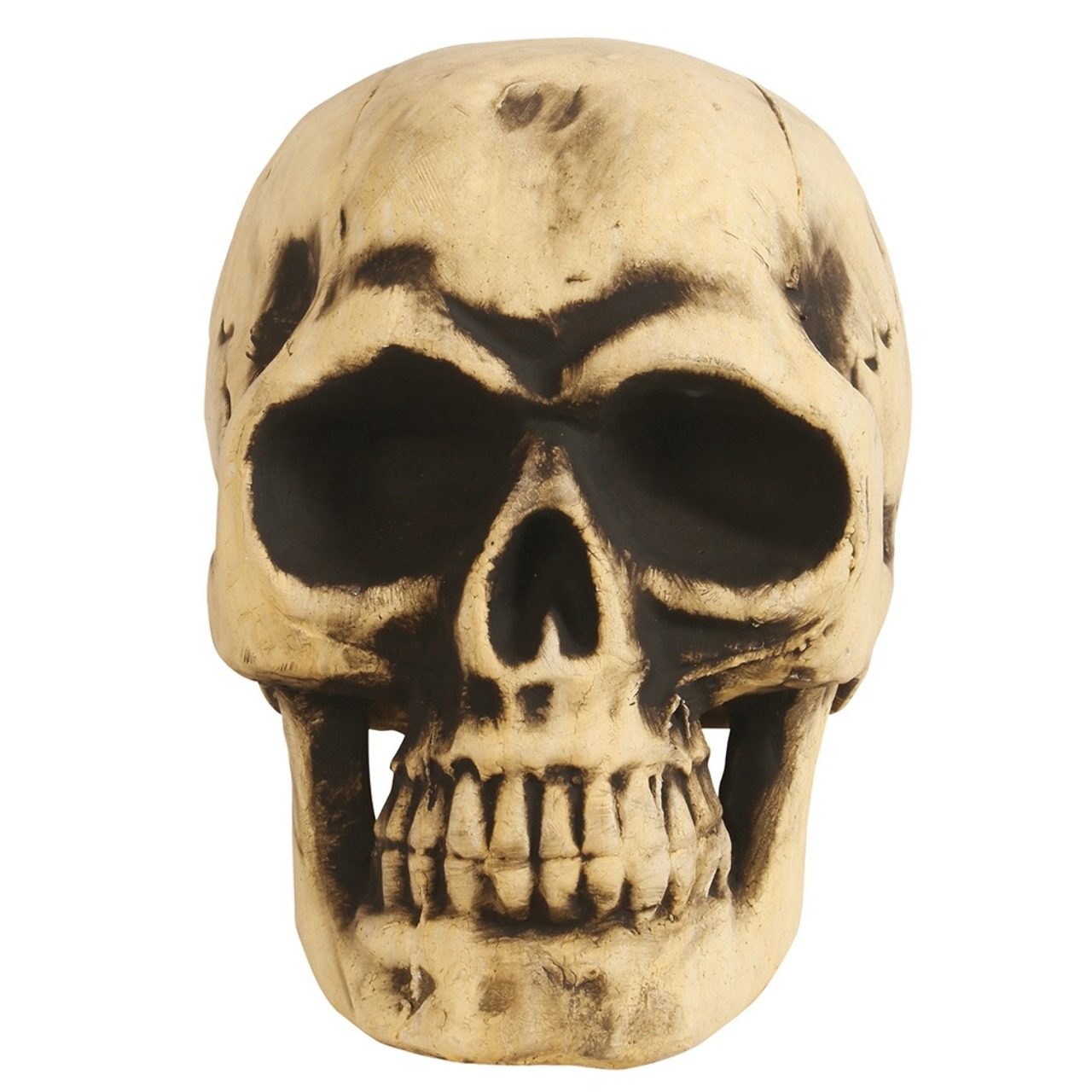 Calavera Grande Foam