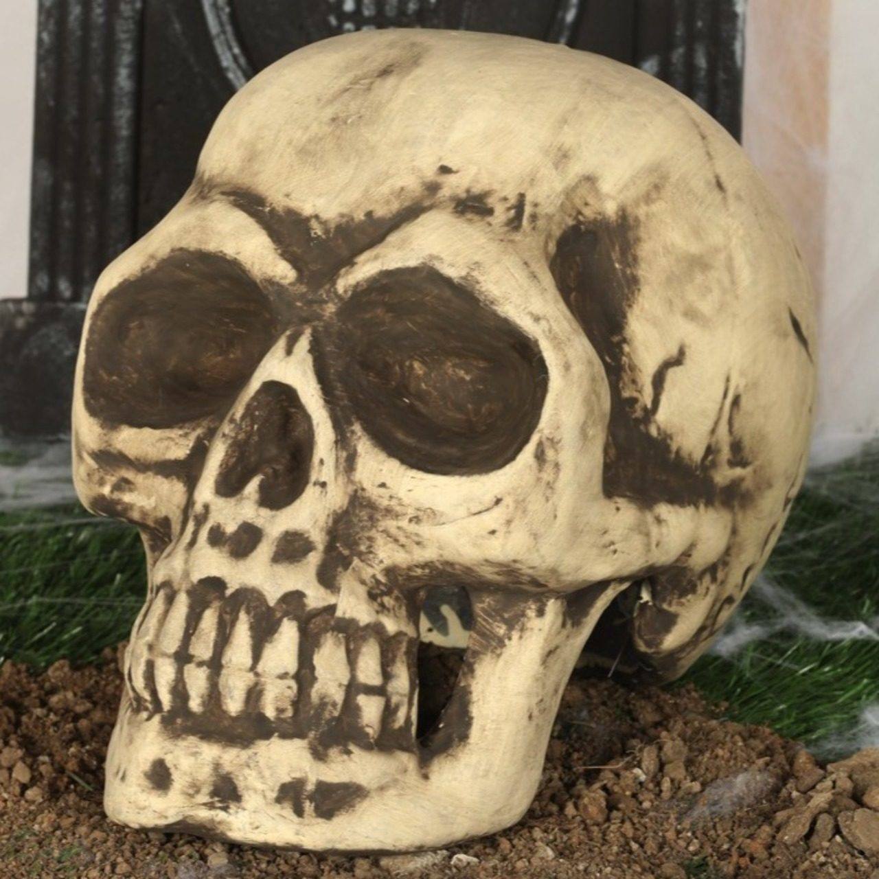 Calavera Grande Foam