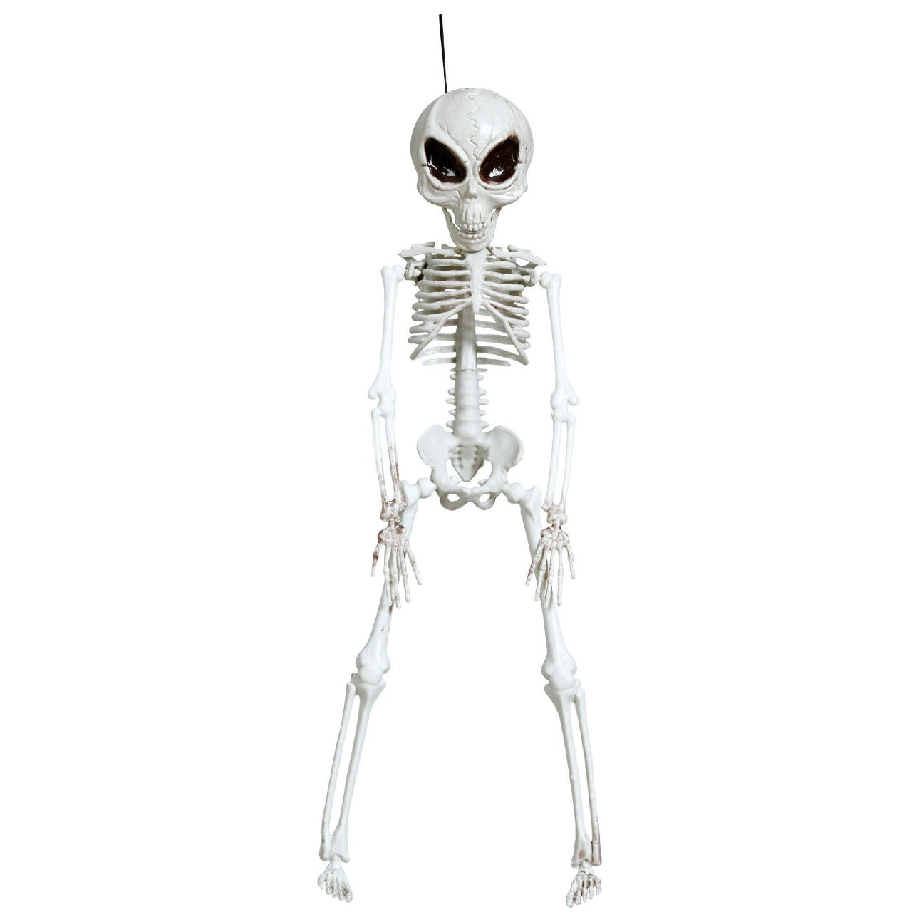 Colgante de Esqueleto Alienígena