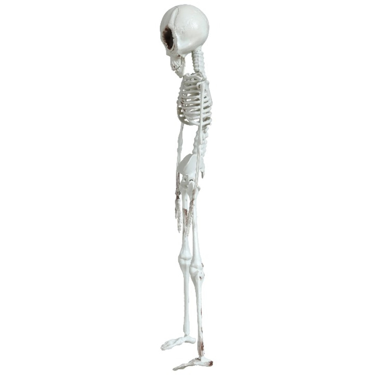 Colgante de Esqueleto Alienígena
