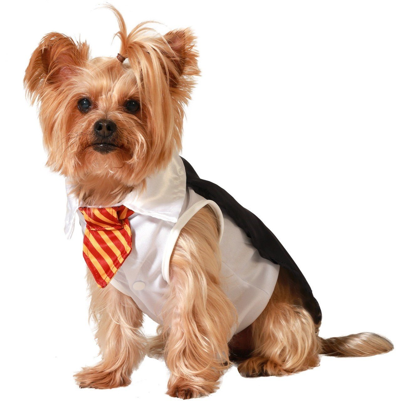 Disfraz de Mago Harry School para mascota