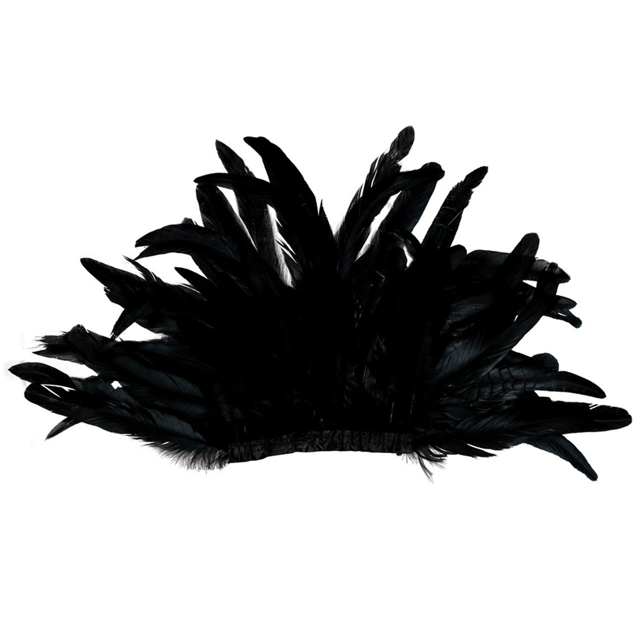 Hombreras de Plumas Negras