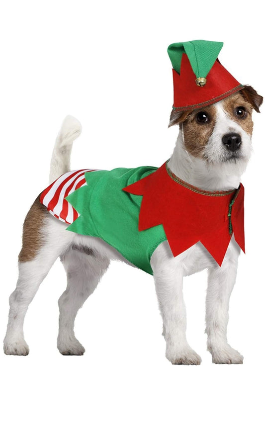 Disfraz de Elfo Eco para mascota