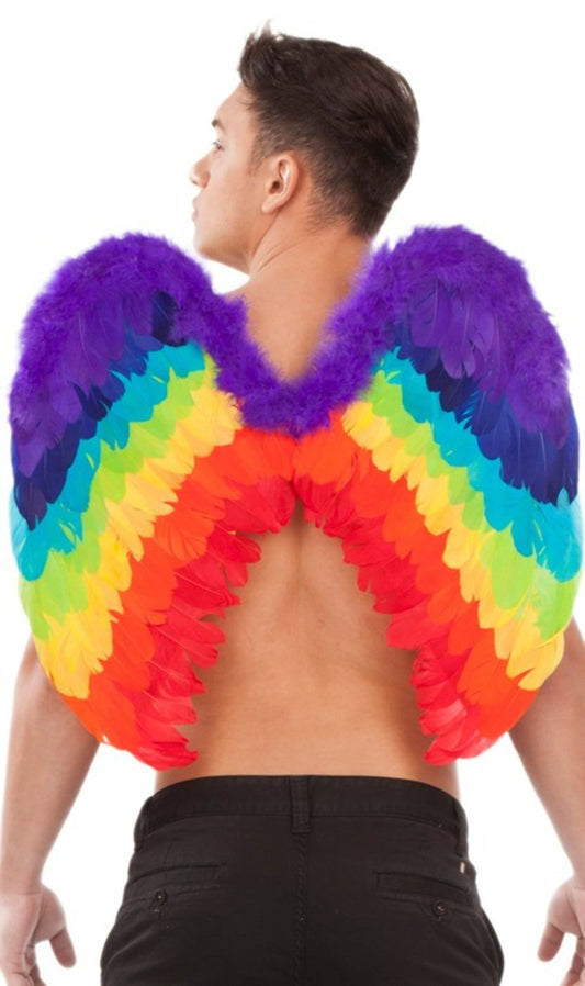 Alas Corazón Arcoíris