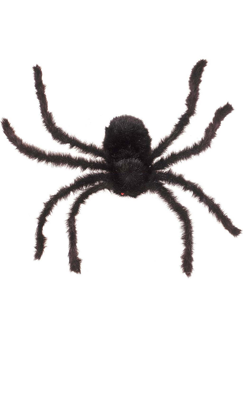Araña Peluda Gigante