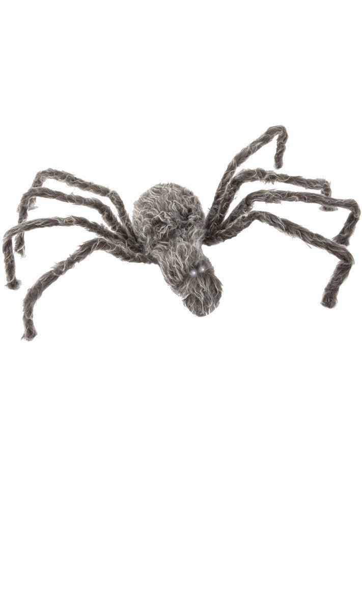 Araña Gris Grande