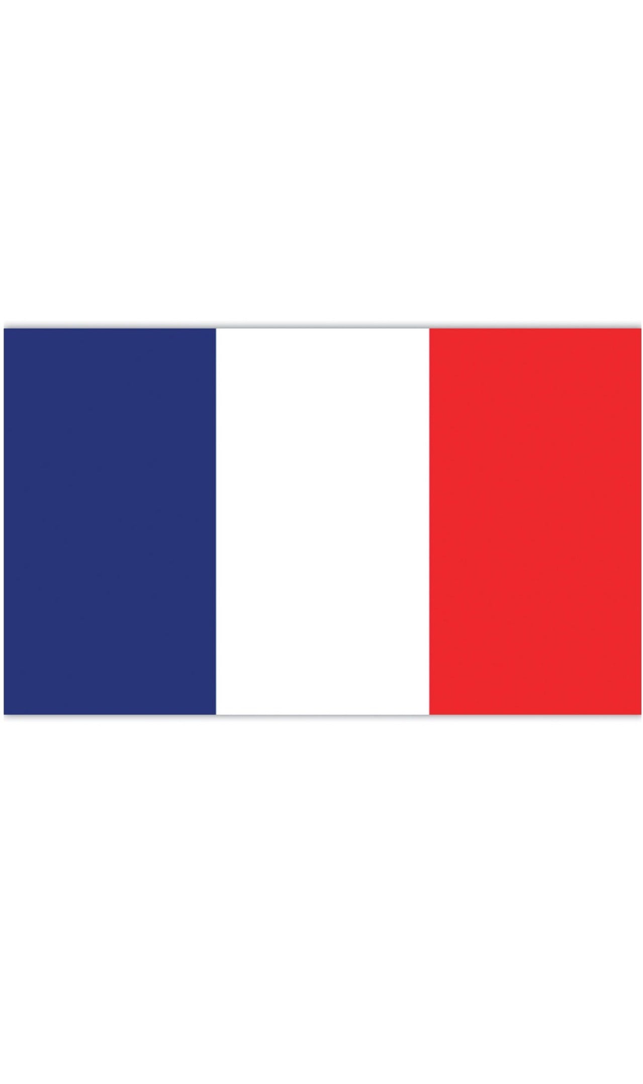 Bandera de Francia