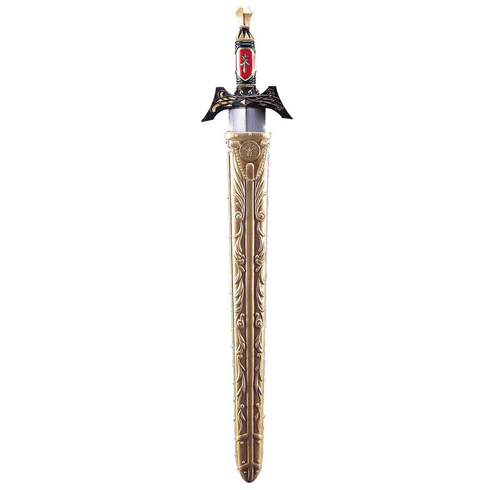 Espada Medieval Grabados con Funda | Don Disfraz