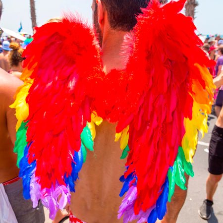 Accesorios del Orgullo Gay - Costumalia - Don Disfraz