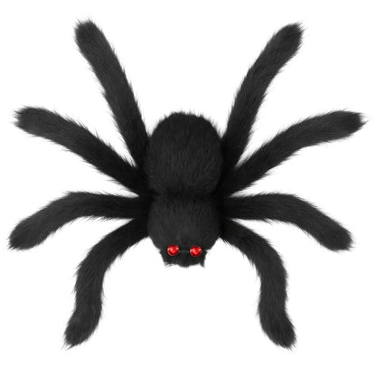 Araña Negra Peluda Gigante