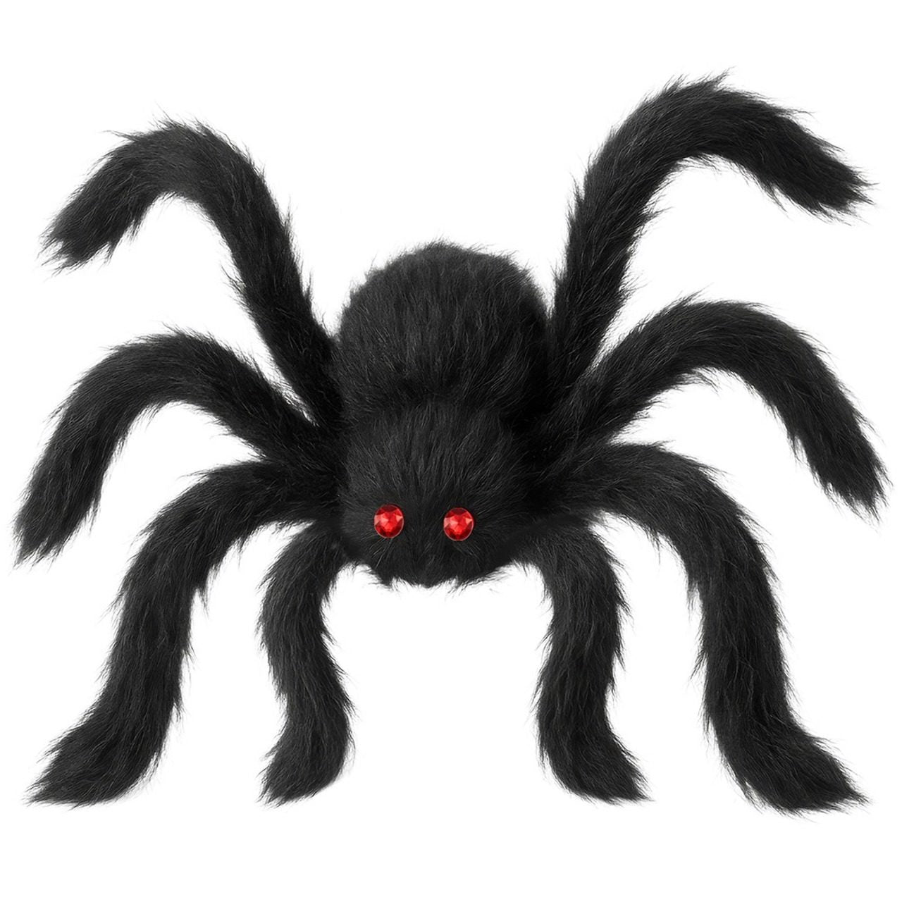Araña Negra Peluda Gigante