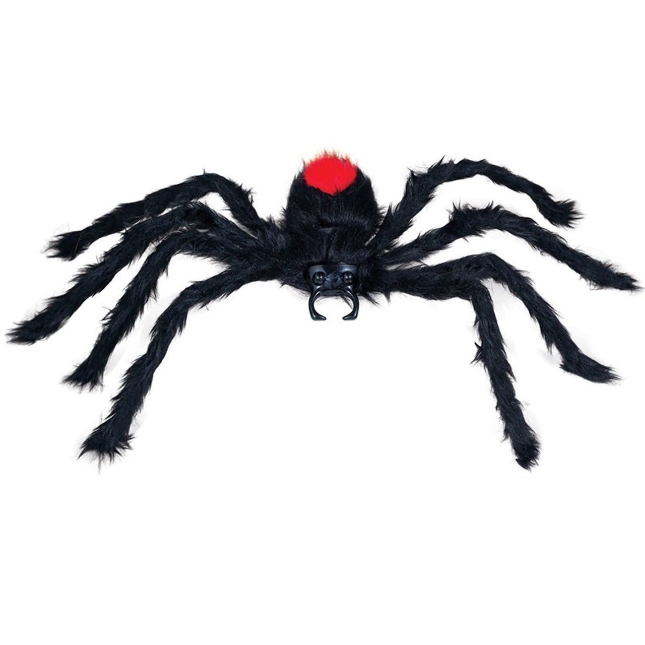 Araña Peluda Venenosa