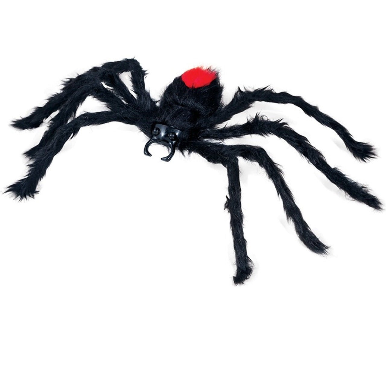 Araña Peluda Venenosa