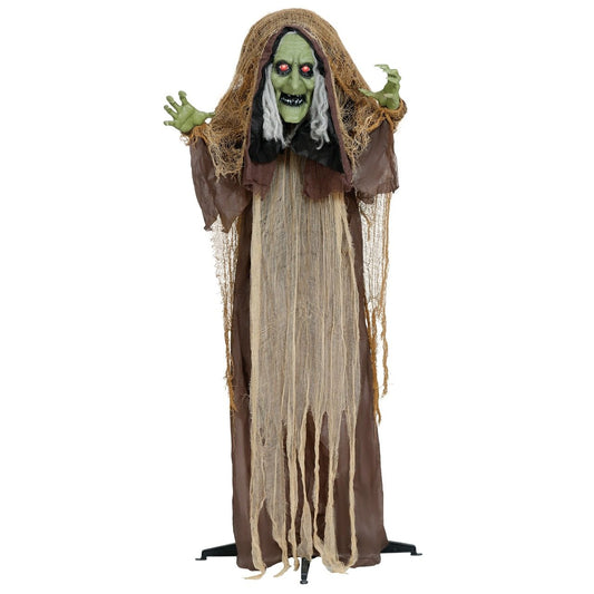 Bruja Siniestra Jorobada