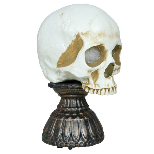 Calavera Blanca Luminosa