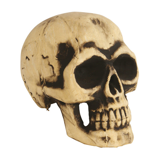 Calavera Grande Foam