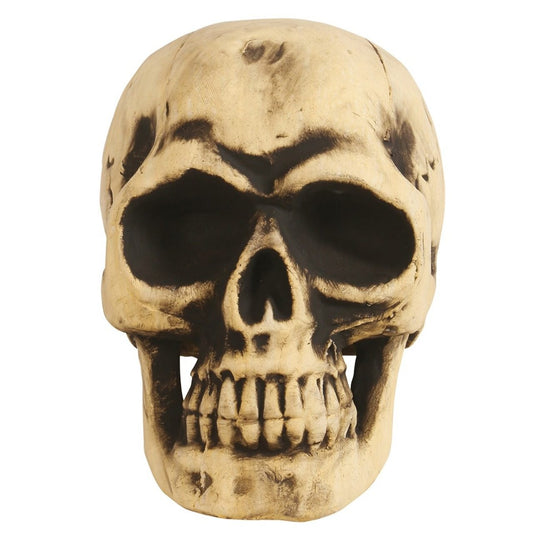 Calavera Grande Foam