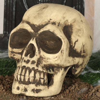 Calavera Grande Foam