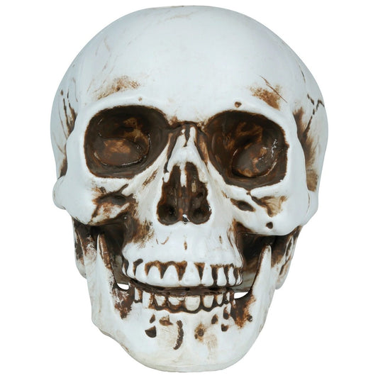 Calavera Halloween