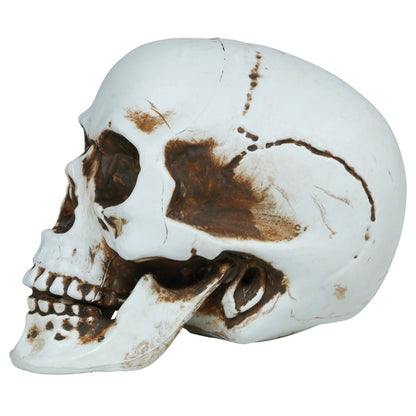 Calavera Halloween