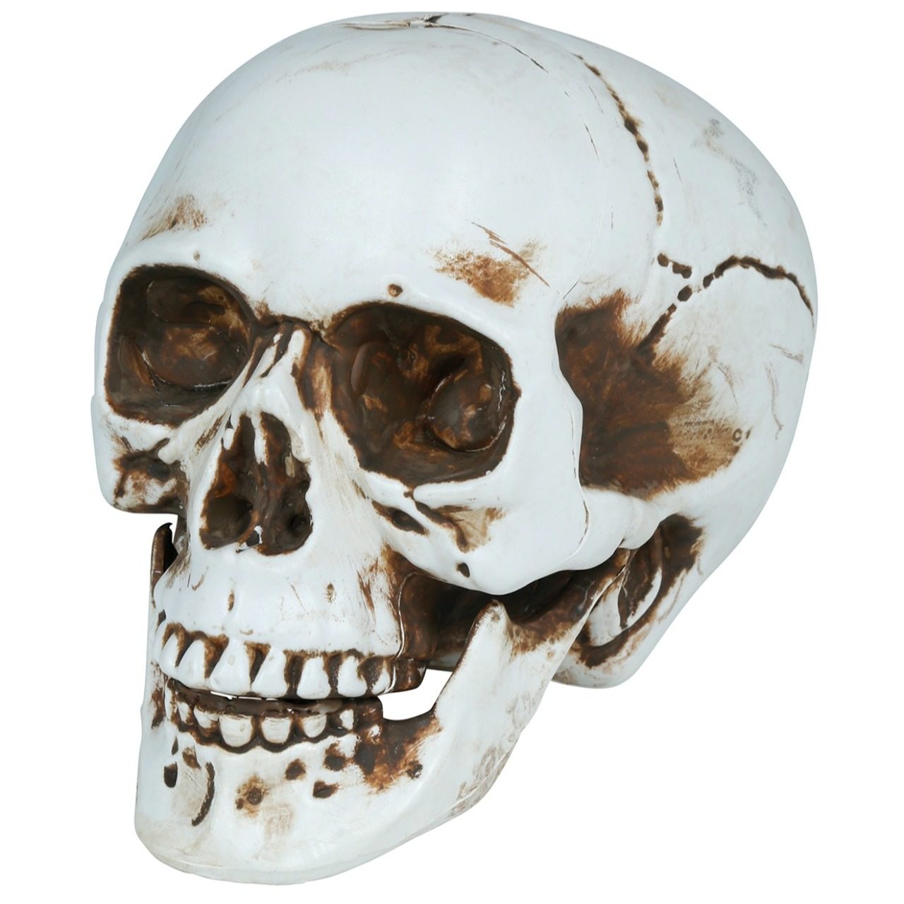 Calavera Halloween