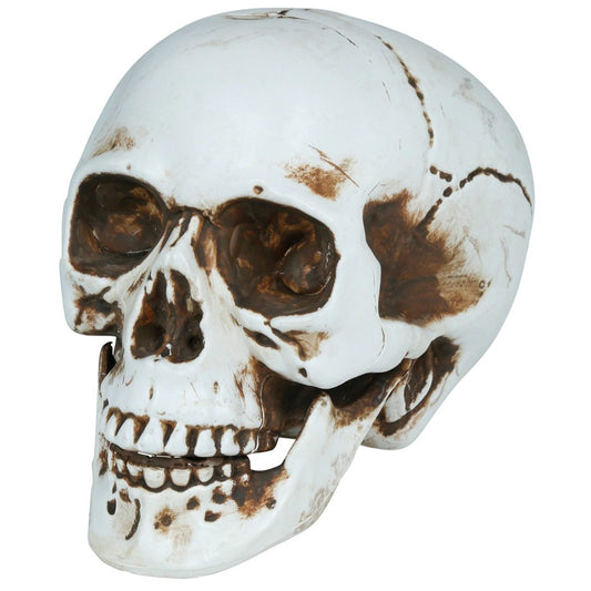 Calavera Halloween
