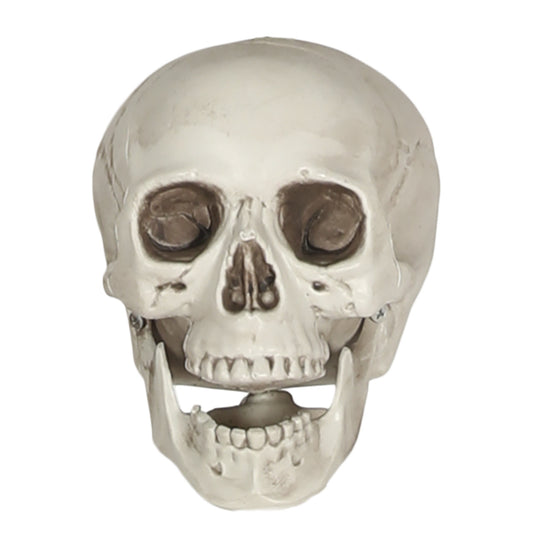 Calavera Terrorífica