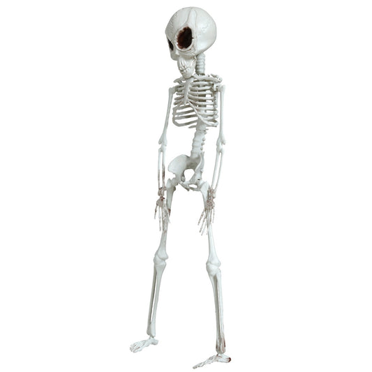 Colgante de Esqueleto Alienígena