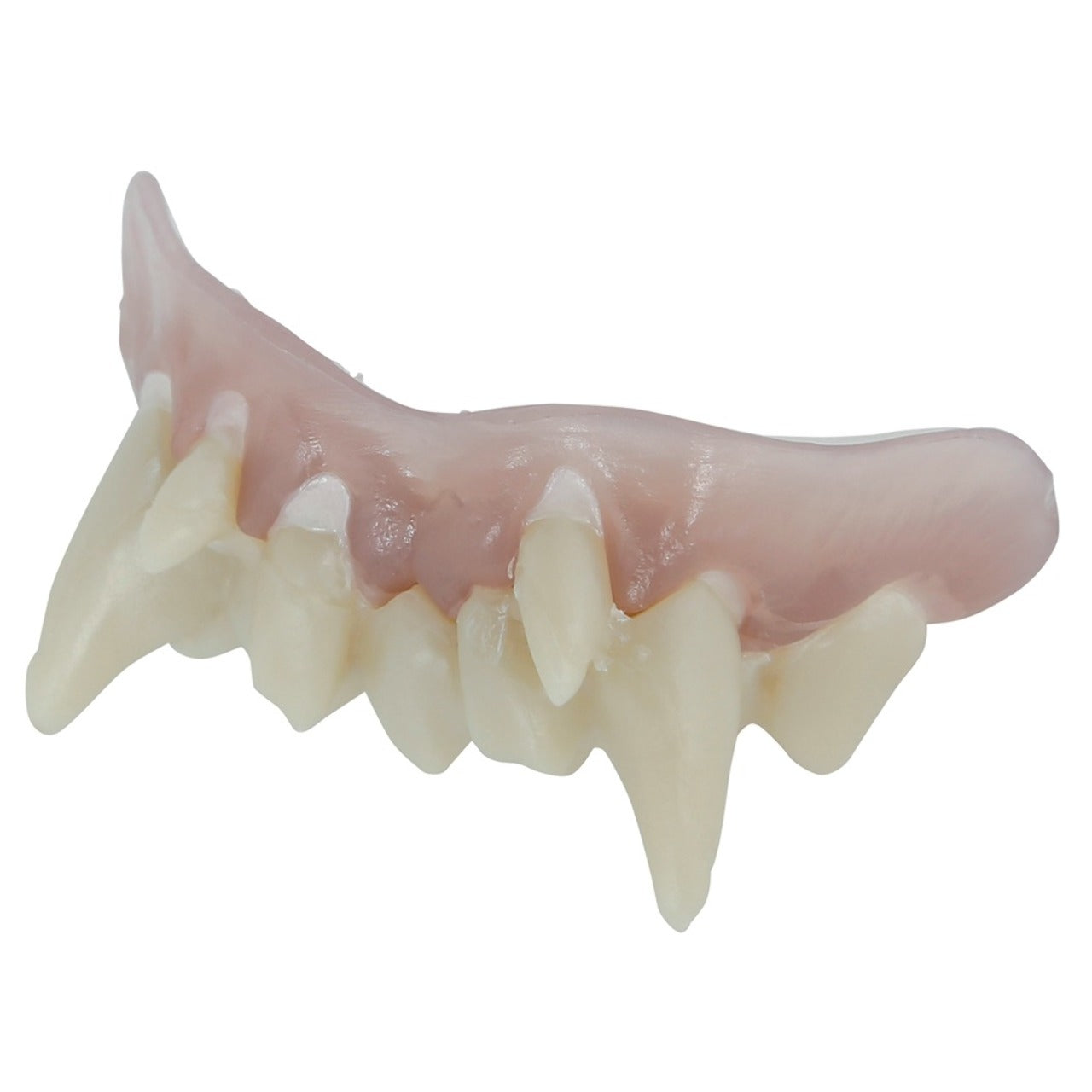 Dentadura de Vampiro con Termoplástica