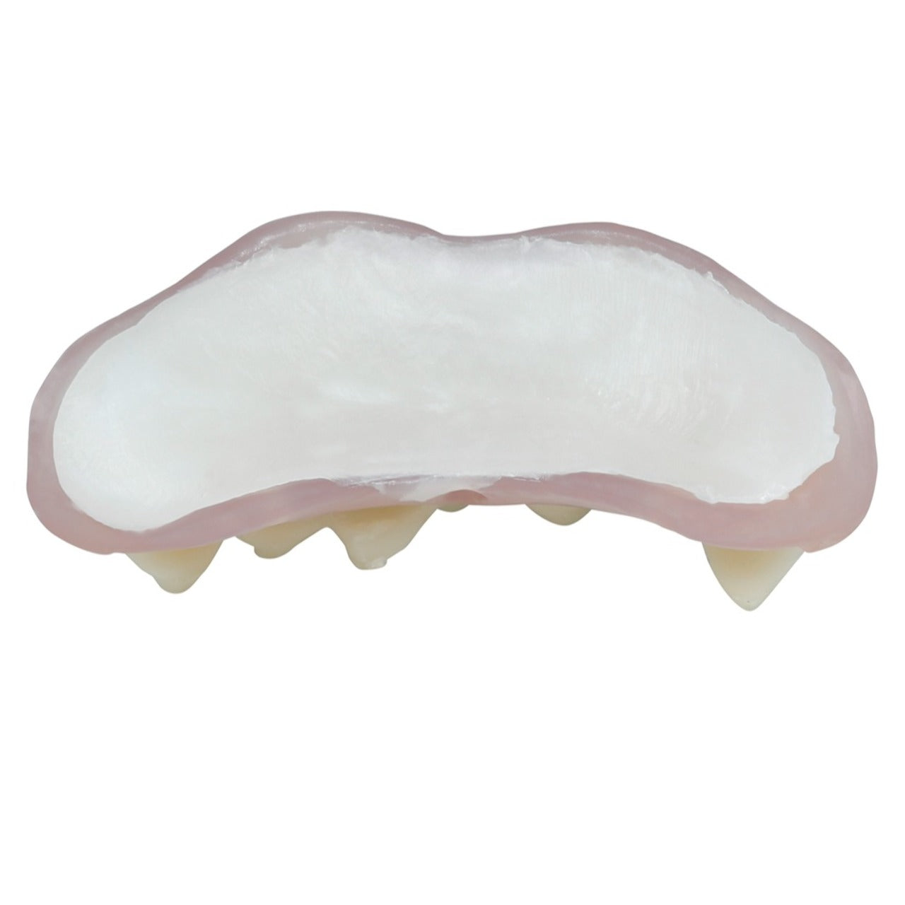 Dentadura de Vampiro con Termoplástica