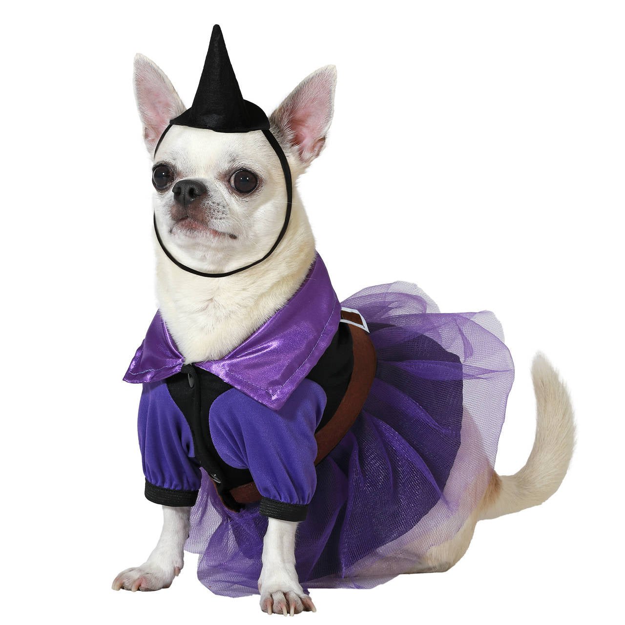 Disfraz de Bruja Matilda para mascota