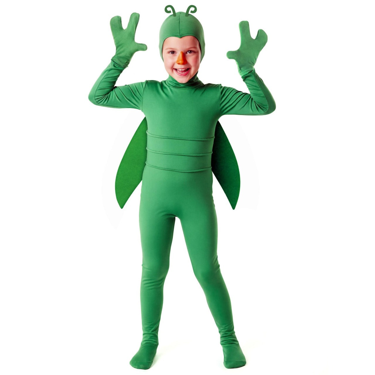Disfraz de Insecto Verde infantil