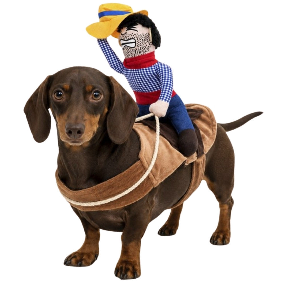 Disfraz de Jinete para mascota
