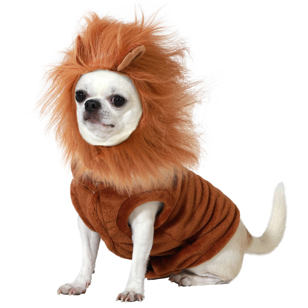 Disfraz de León para mascota