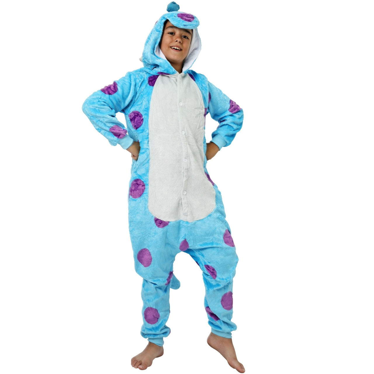 Disfraz de Monstruos S.A. Sullivan Eco infantil