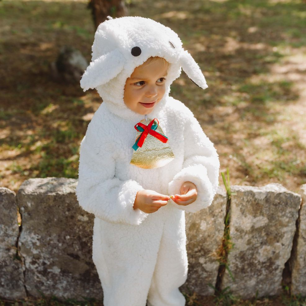 disfraz oveja bebé