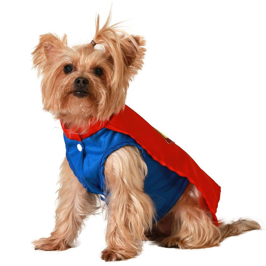 Disfraz de Superhéroe para mascota