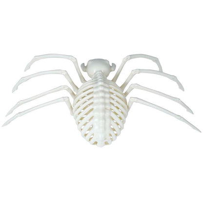 Esqueleto de Araña Tarántula