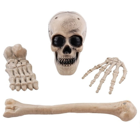 Huesos de Esqueleto