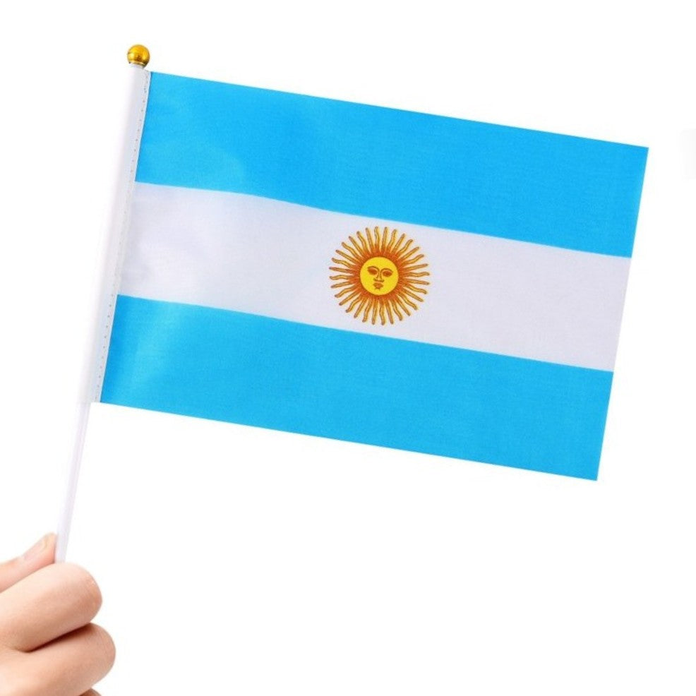 Pack de 24 Banderines de Argentina 20x30cm