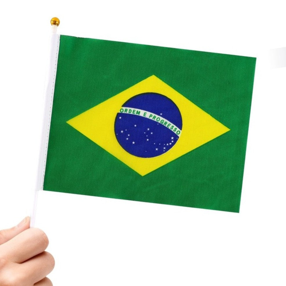 Pack de 24 Banderines de Brasil 20x30cm