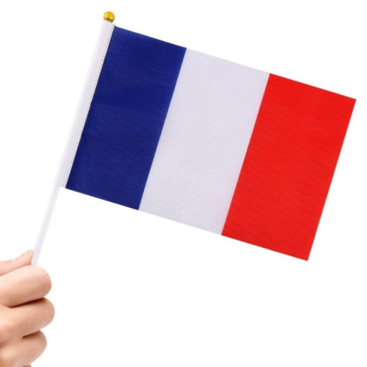 Pack de 24 Banderines de Francia 20x30cm