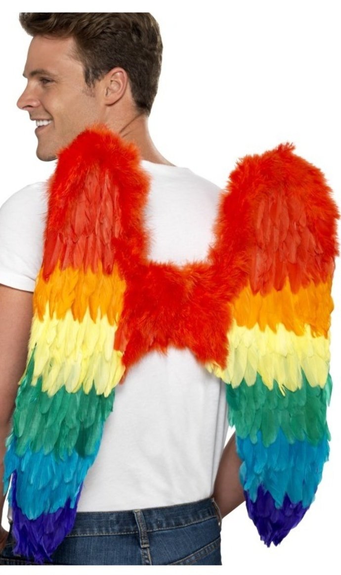 Alas de Plumas Arcoíris Deluxe