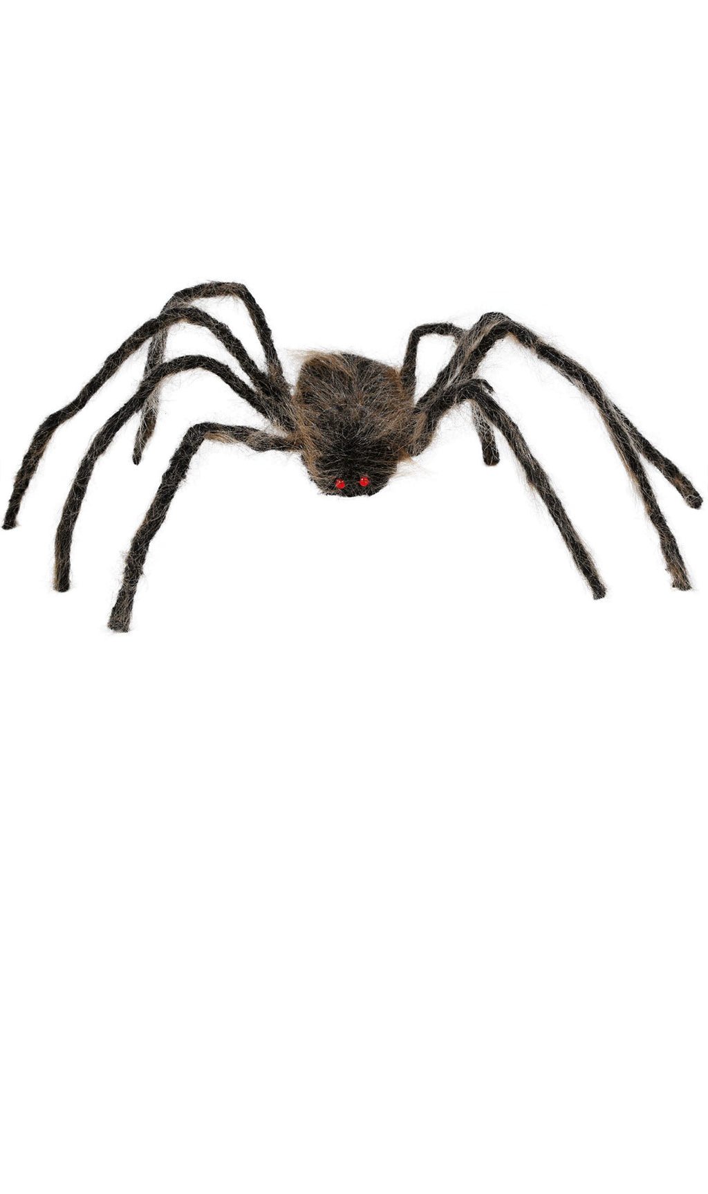 Araña Marrón