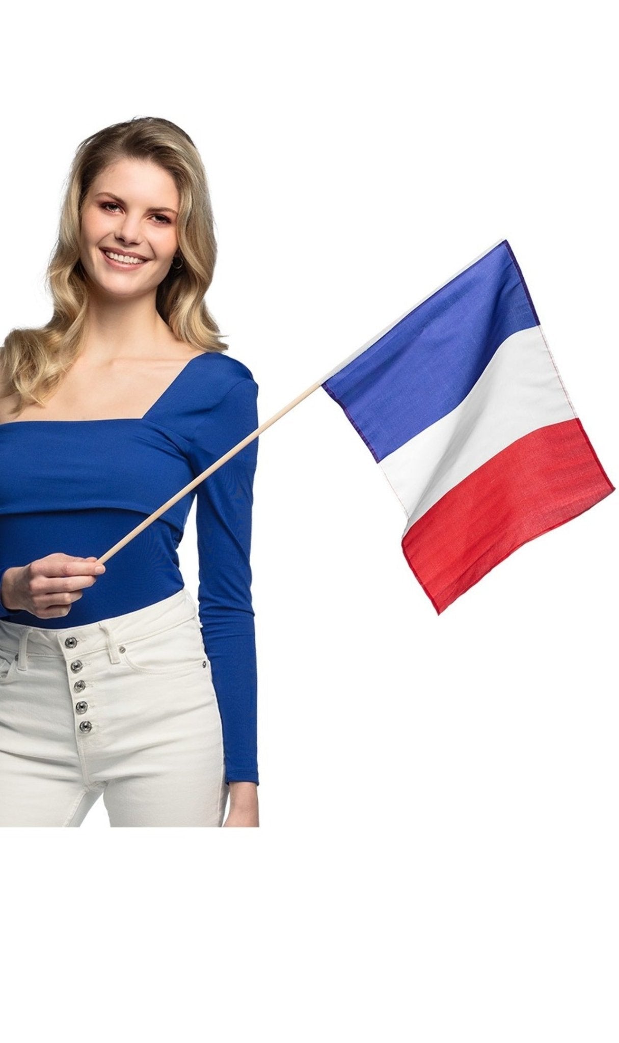 Bandera de Francia con Palo