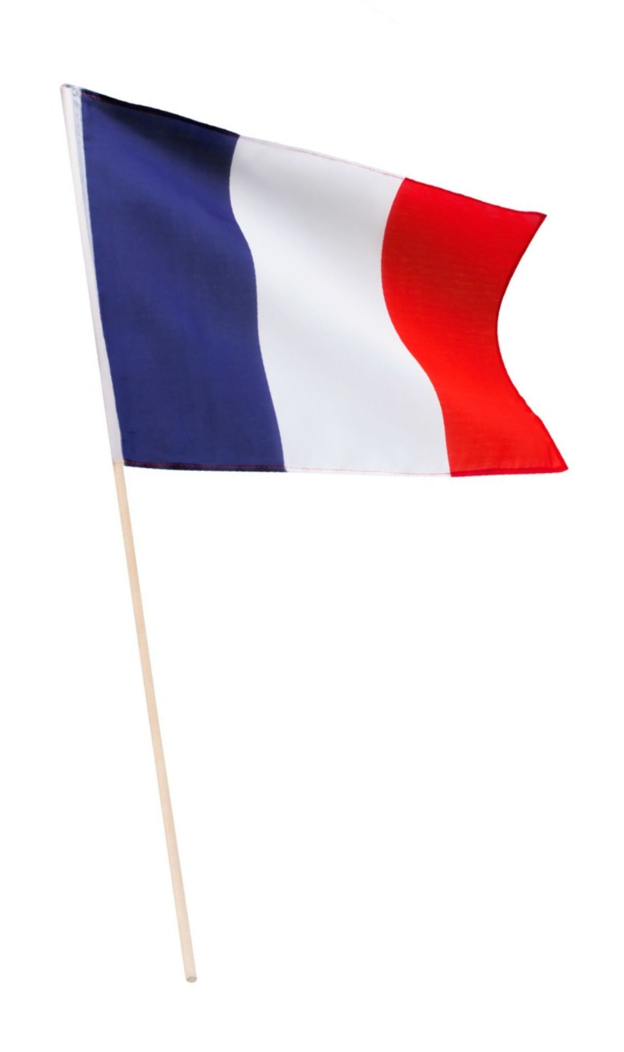 Bandera de Francia con Palo