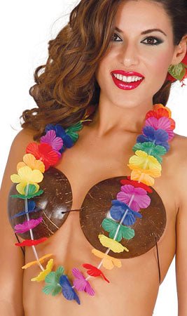 Collar Hawaiano Multicolor