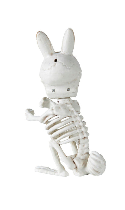 Conejo Esqueleto